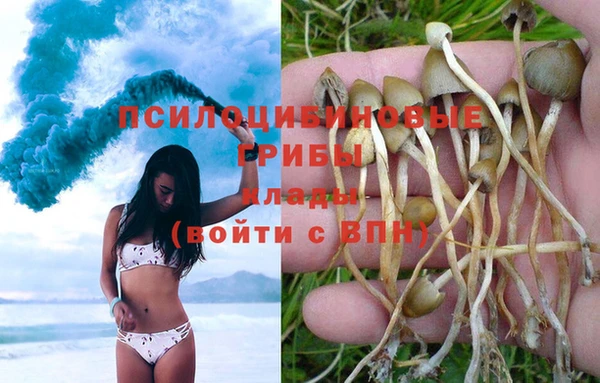 а пвп мука Лиски