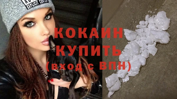 сатива Ладушкин
