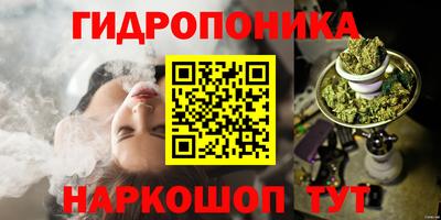 гидра Гусь-Хрустальный