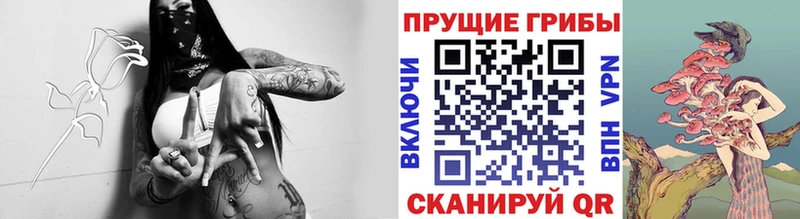 Псилоцибиновые грибы ЛСД Октябрьский