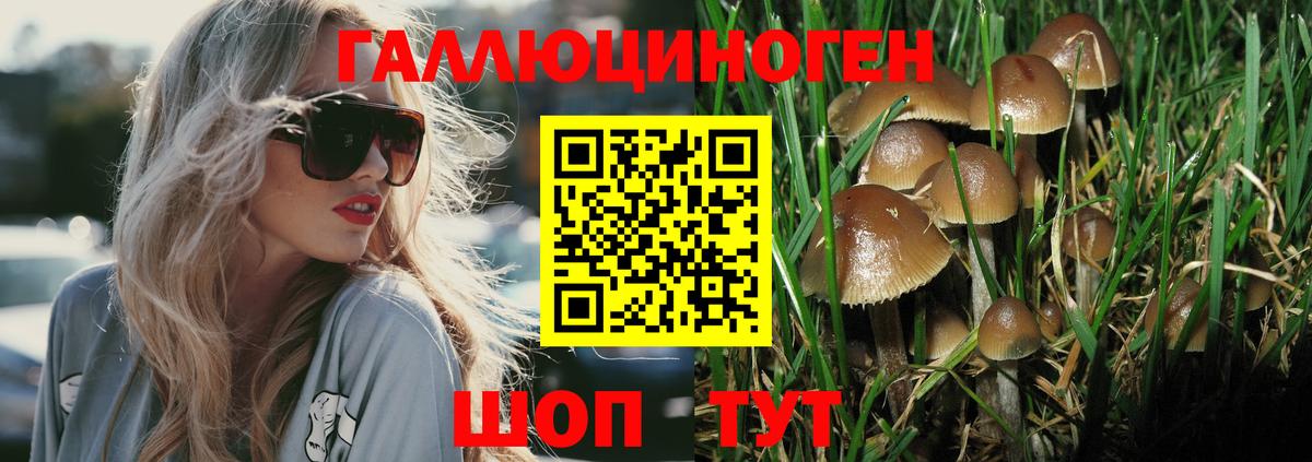 Галлюциногенные грибы Cubensis Октябрьский
